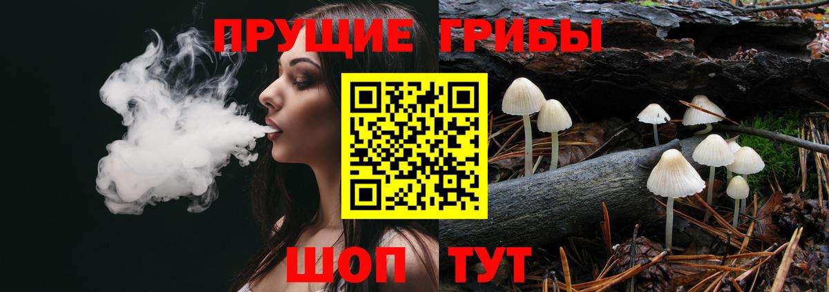 где найти   Псилоцибиновые грибы MAGIC MUSHROOMS  Вход с VPN  Котлас  Галлюциногенные грибы MAGIC MUSHROOMS 